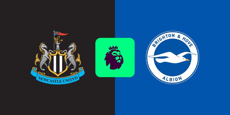 Nhận Định Newcastle Vs Brighton Hove Albion Lúc 21H00 Ngày 02/05 - Premier League 1 Nhận Định Newcastle Vs Brighton Hove Albion Lúc 21H00 Ngày 02/05 - Premier League